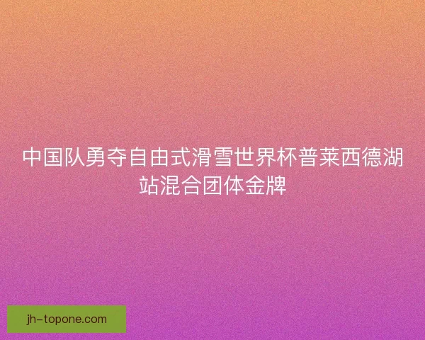 中国队勇夺自由式滑雪世界杯普莱西德湖站混合团体金牌